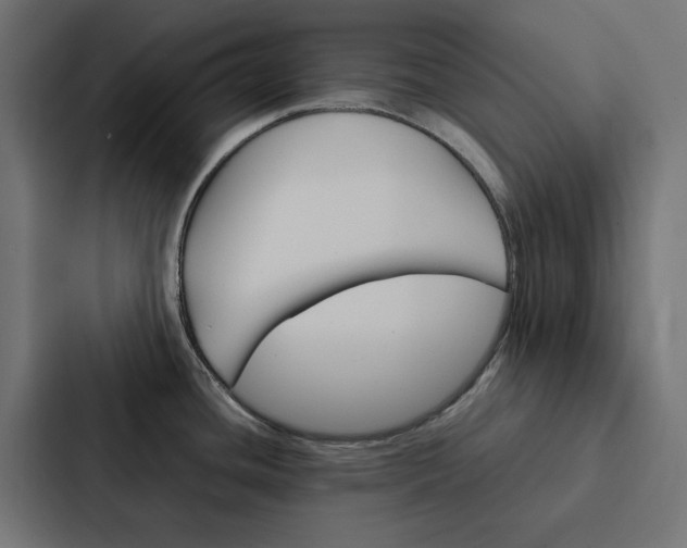 X0000088231436200705151040