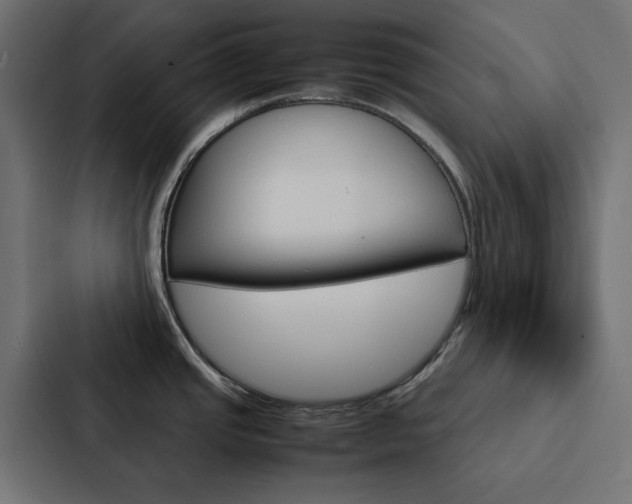 X0000088231437200705151040