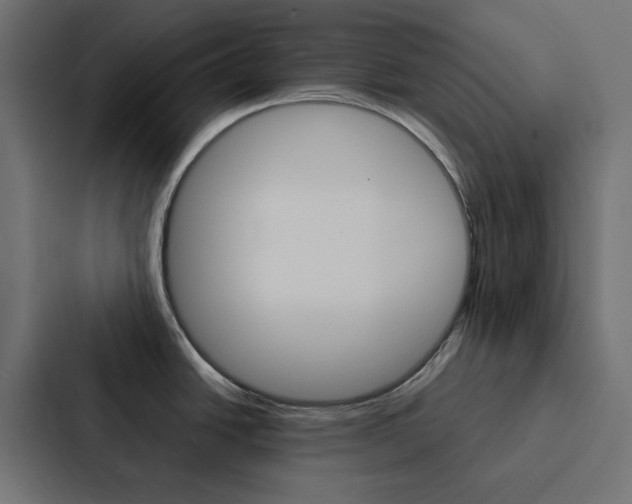 X0000088231438200705151040