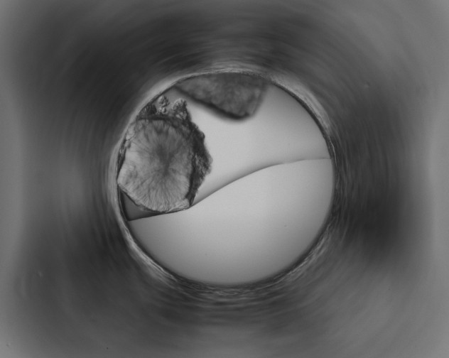 X0000088231439200705151040