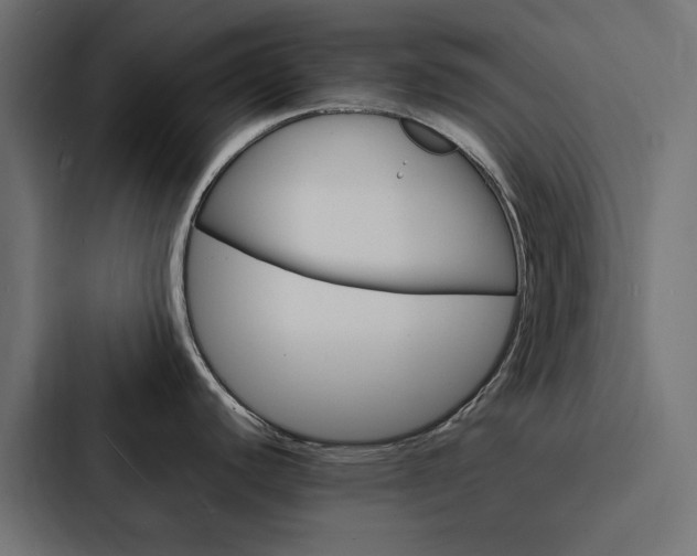 X0000088231440200705151040