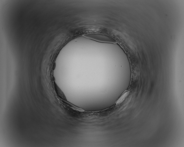 X0000088231441200705151039
