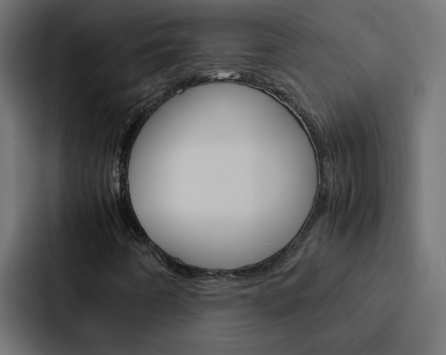 X0000088231442200705151039