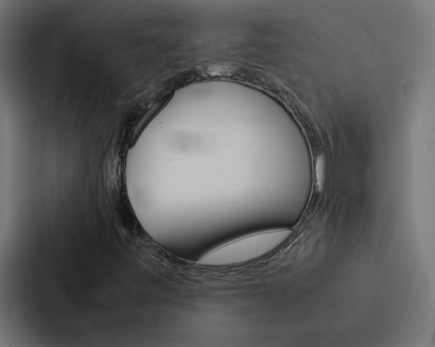 X0000088231443200705151039