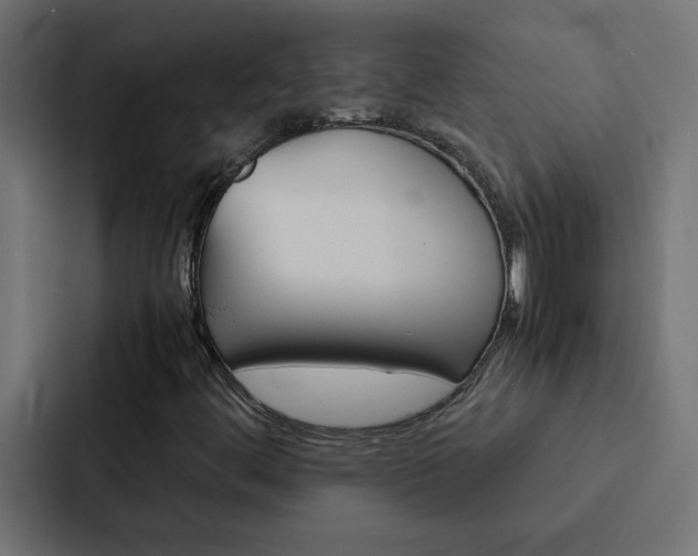 X0000088231444200705151039