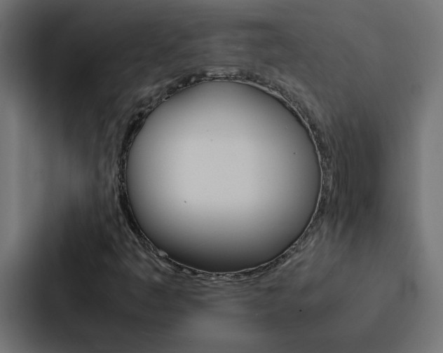 X0000088231445200705151039