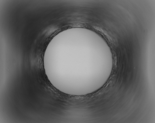 X0000088231446200705151039
