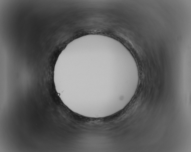 X0000088231447200705151039