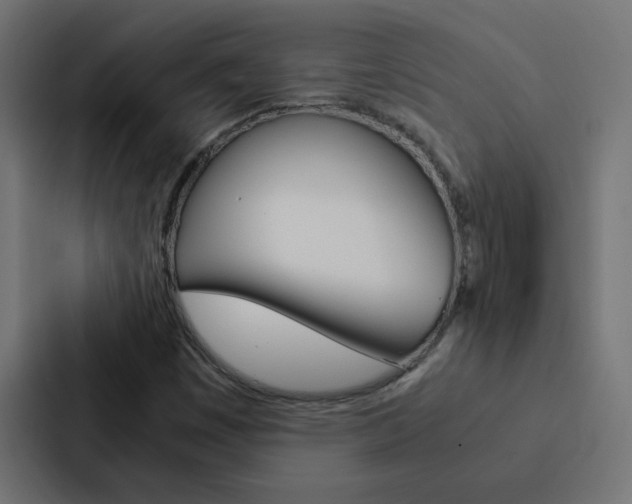 X0000088231449200705151039