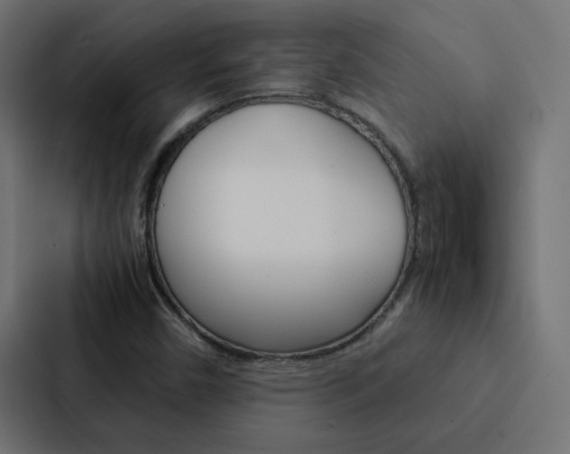 X0000088231450200705151039