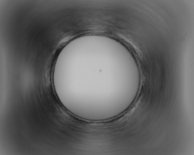 X0000088231451200705151039