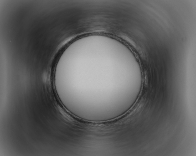 X0000088231452200705151039