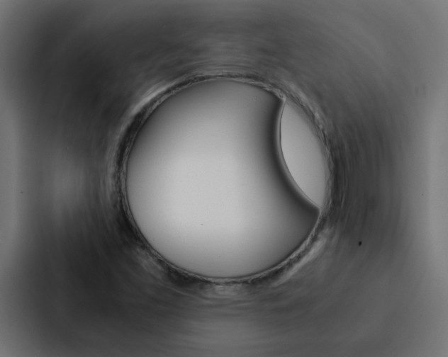 X0000088231453200705151039