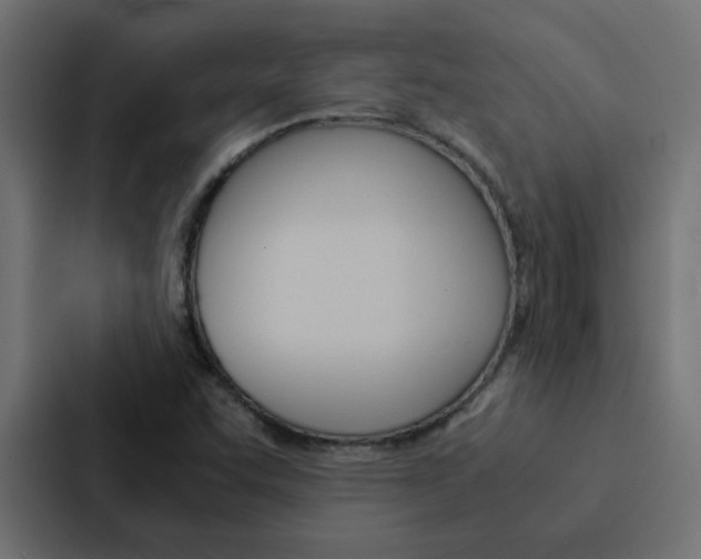 X0000088231455200705151039