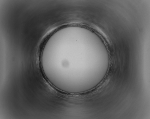 X0000088231456200705151039