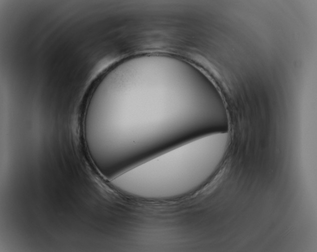 X0000088231458200705151039