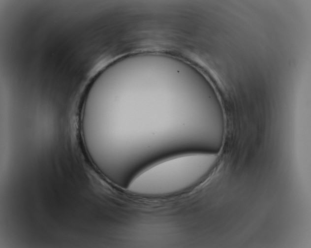 X0000088231459200705151039