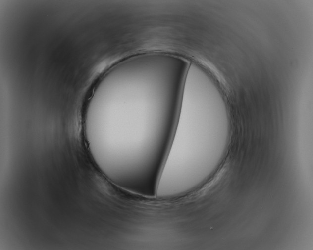 X0000088231461200705151039