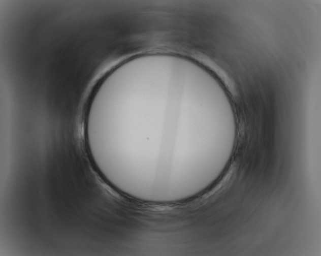X0000088231462200705151039