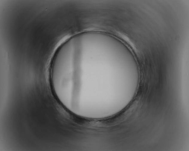 X0000088231463200705151039