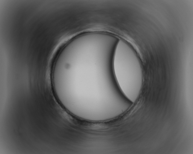 X0000088231464200705151039