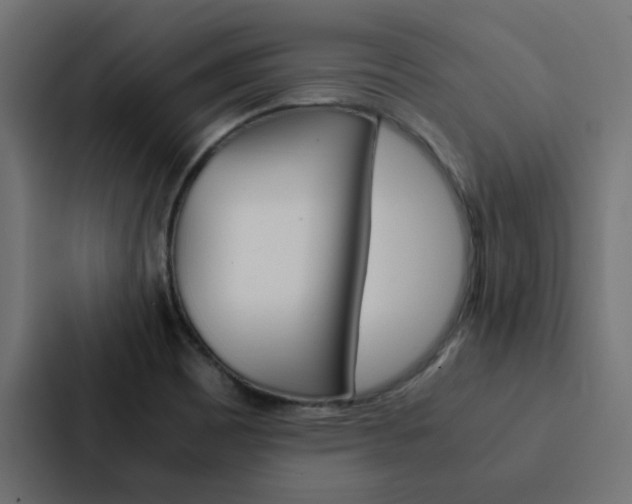 X0000088231465200705151039