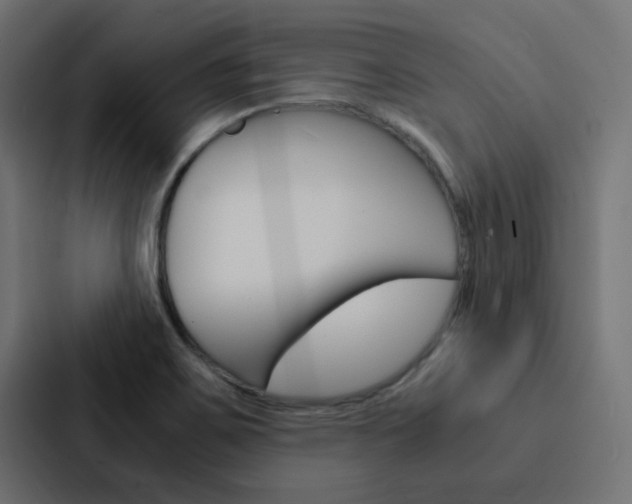 X0000088231467200705151039