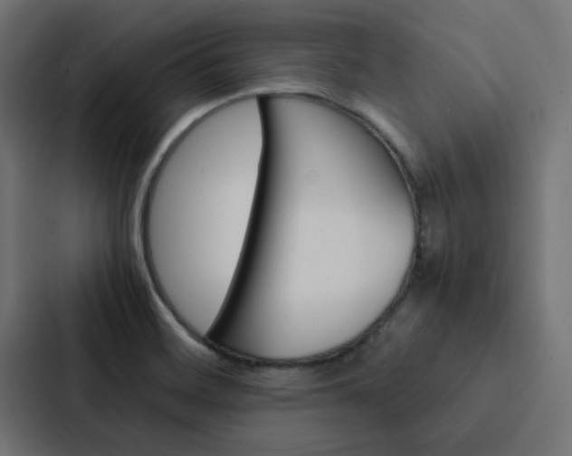 X0000088231468200705151039