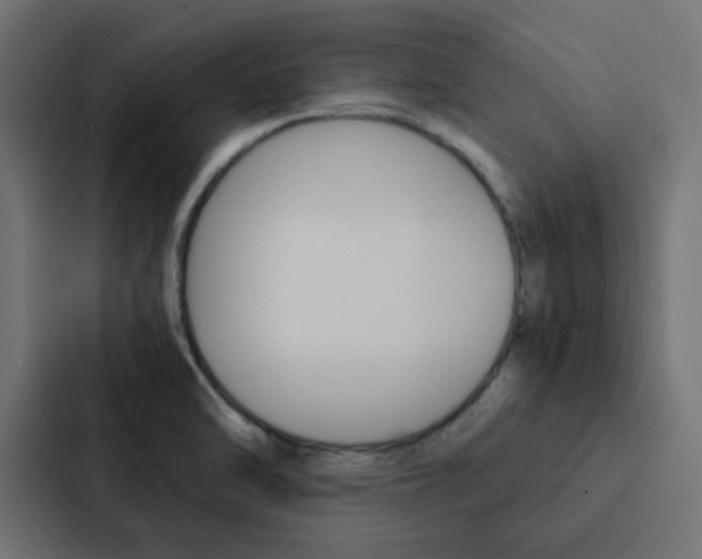 X0000088231470200705151039