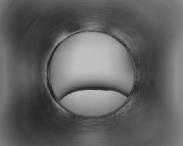 X0000088231471200705151039