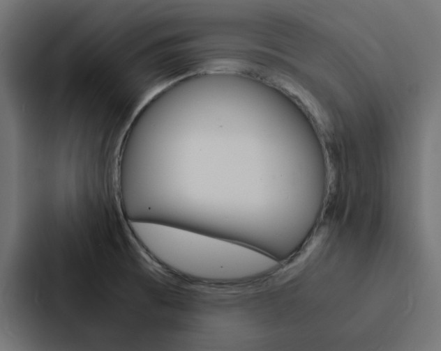 X0000088231473200705151039