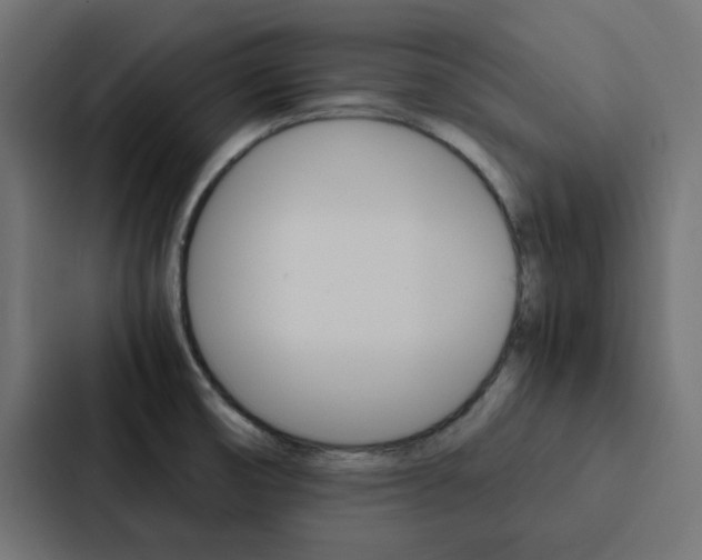 X0000088231474200705151039