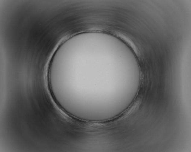 X0000088231475200705151039