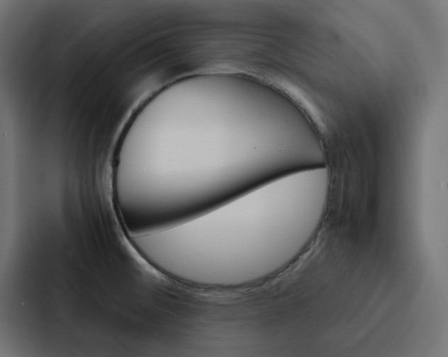 X0000088231476200705151039