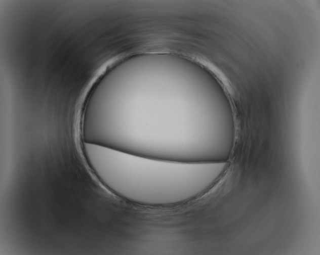 X0000088231477200705151039