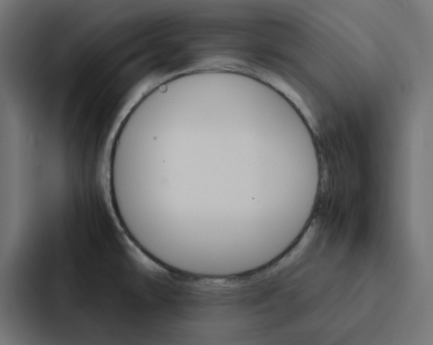 X0000088231478200705151039