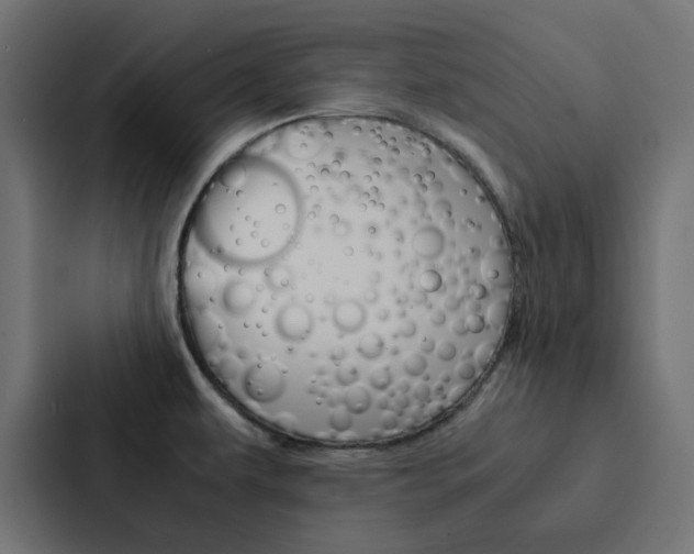 X0000088231479200705151039