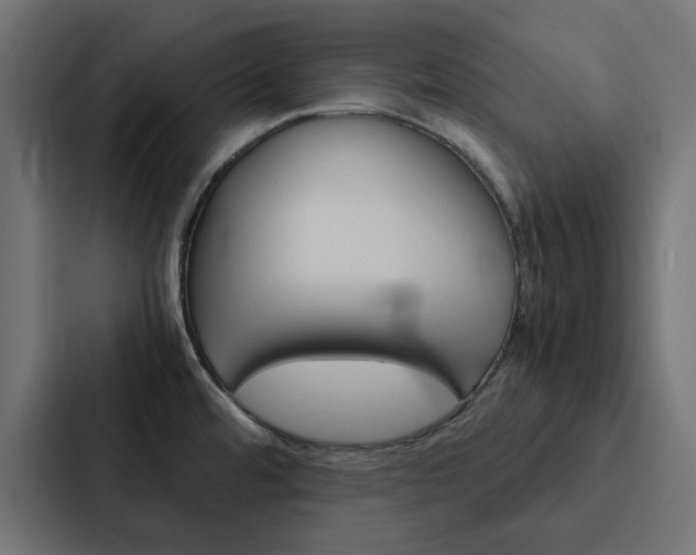 X0000088231480200705151039