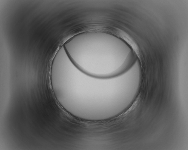 X0000088231481200705151039