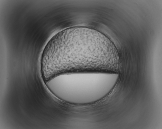 X0000088231483200705151039