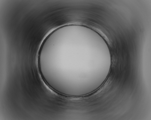 X0000088231484200705151039