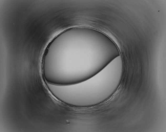X0000088231485200705151039