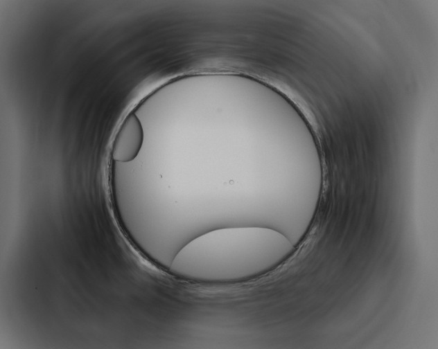 X0000088231486200705151039