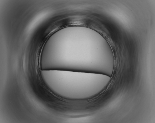 X0000088231487200705151039