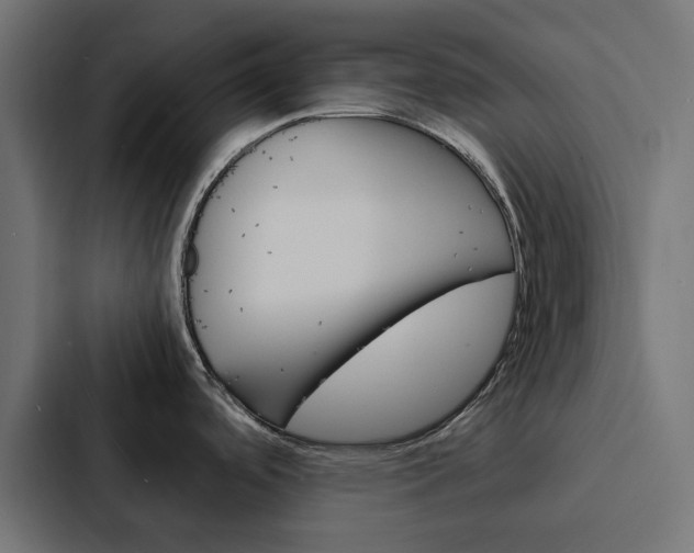 X0000088231488200705151039