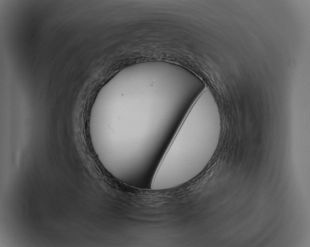 X0000088231489200705151038
