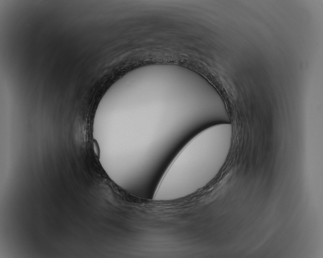 X0000088231490200705151038