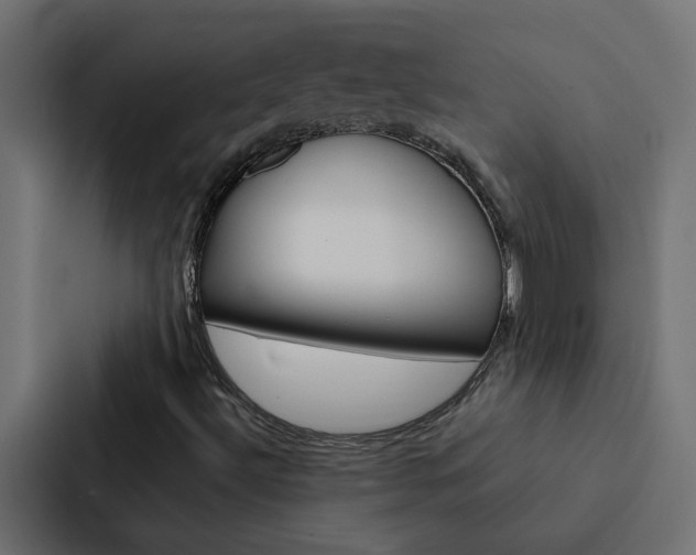 X0000088231492200705151038