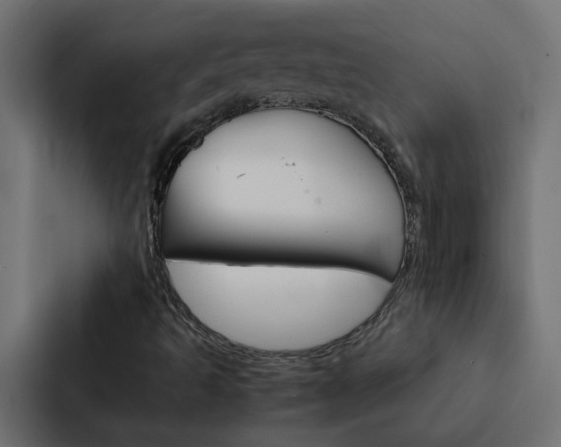 X0000088231493200705151038