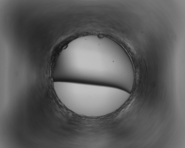 X0000088231494200705151038